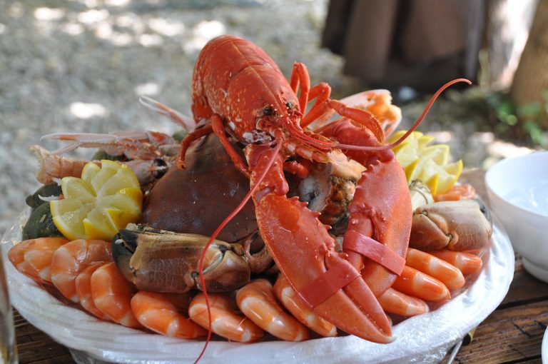 seafood platter, shellfish, food-1232389.jpg